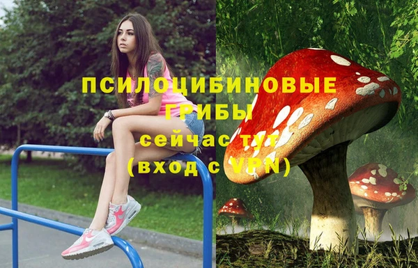 тгк Армянск